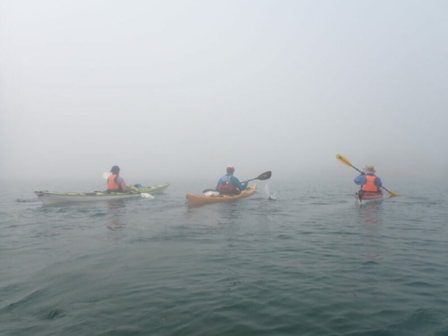 Fog Navigation is a challenge on the French River Delta, Georgian Bay