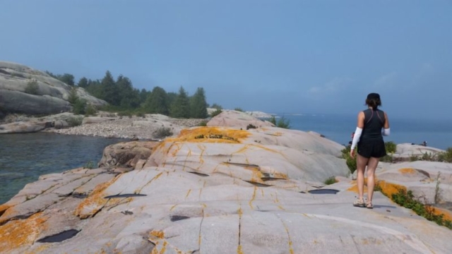 Phillip Edward, Georgian Bay, East Hawk