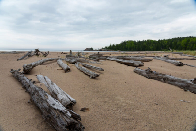 Willow River Log Beach, Pukaskwa National Park