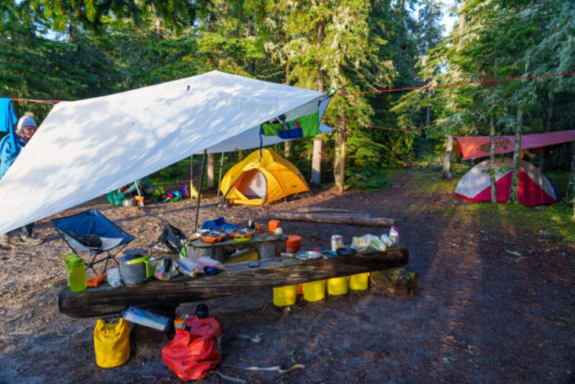 Campsite #1, Fish Harbour, Pukaskwa